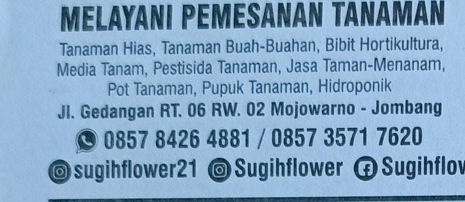 Dekorasi Panggung & Acara
